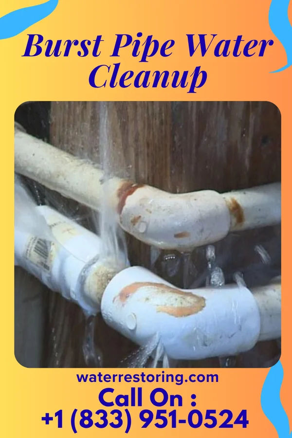 Burst Pipe Water Cleanup in Raymondville, TX
