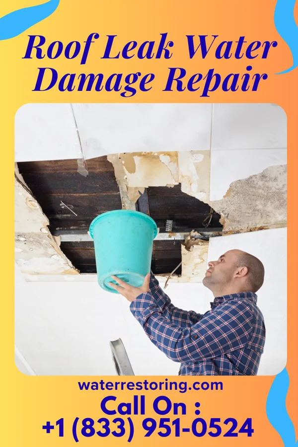 Roof Leak Water Damage Repair in Raymondville, TX